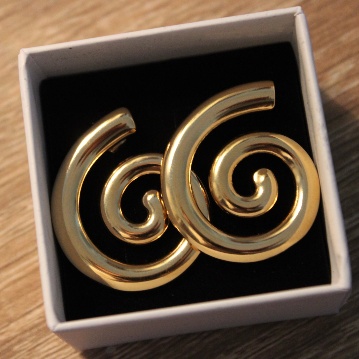 The 'Aio 1.0' Earrings