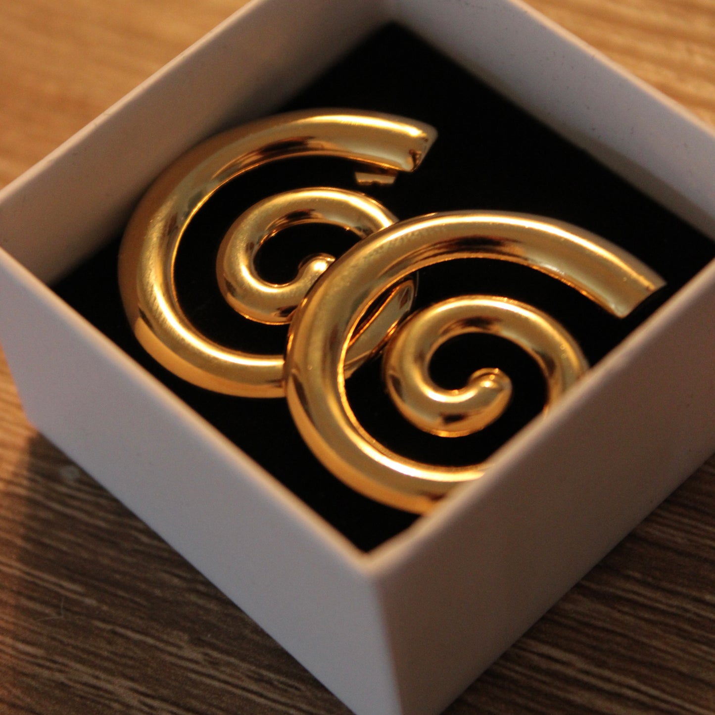 The 'Aio 1.0' Earrings