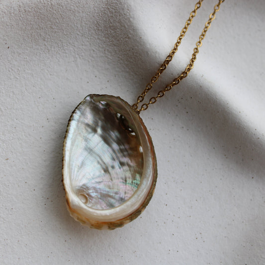The ' Mini Half Paua ' Pendant + Chain